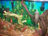 90 gallon typical day.jpg