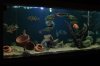 DSC04781.JPG