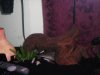 DSCF0215.JPG