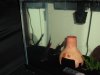 DSCF0216.JPG