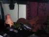 DSCF0223.JPG
