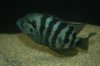 DSC_7914.JPG