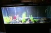 DSC02345.JPG