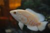 DSC_0111.JPG