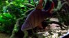 100_5175.jpg