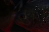 IMG_3286.JPG IMG_3286.JPG