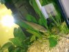 05022010276.jpg