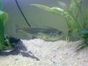 24022010342.jpg