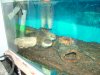 DSCF5573.JPG