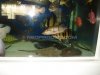 DSC01150.JPG