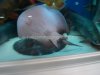 DSC01158.JPG DSC01158.JPG