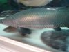 DSC01160.JPG DSC01160.JPG