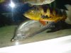 DSC01203.JPG