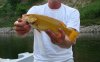 erythristic bass.jpg