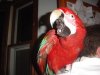 DSC00208.JPG