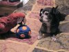 DSC00538.JPG