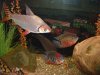 DSC00325.JPG