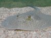 DSCN2477.JPG