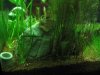 Resize of IMG_3796.JPG