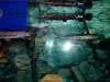 gar2_resize.JPG