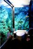 bathaquarium.jpg