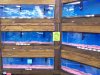 101_0001.JPG