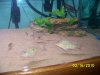 100_0603.JPG