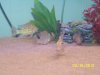 100_0606.JPG