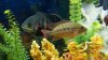 100_0262.JPG