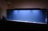 2010-03-19_045145.jpg 2010-03-19_045145.jpg