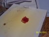 100_3746.JPG