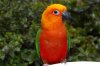 DSC_7359.JPG