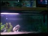 509329045_1793536835_0[1].jpg