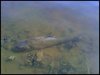 509824755_1795464777_0[1].jpg