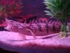 DSC04150.JPG