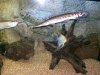 100_1659.JPG