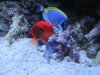 jc Newport Aquarium pics 101.JPG jc Newport Aquarium pics 101.JPG