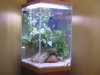 35-Gallon 001.jpg