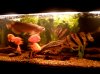 Tank 8.jpg