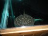 Picture or Video 013.jpg