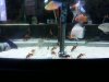 loaches 16.jpg