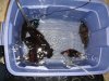 DSC06119.JPG