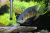 DSC01046.JPG