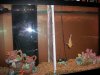 100_0437.JPG