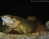 DSC_0477.JPG
