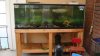 DSC04048.JPG