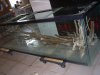 S5031007.JPG