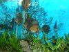 DSCF3952.JPG
