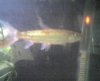 04-16-10_1842.jpeg