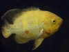 DSC00838.JPG